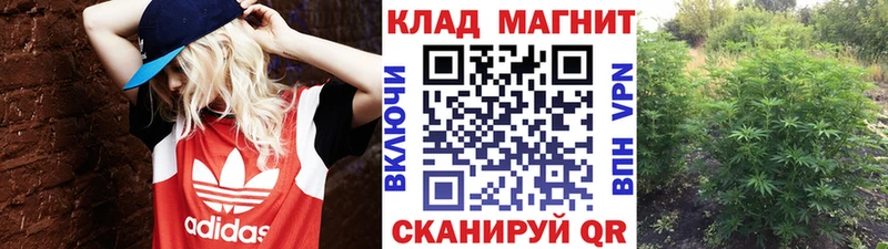 Наркошоп купить Бошки Шишки  Cocaine  Амфетамин  Мефедрон  А ПВП  Пересвет