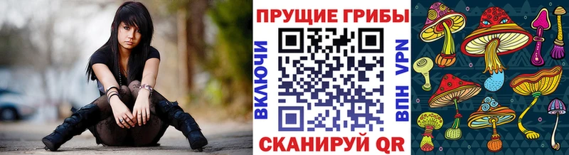 Псилоцибиновые грибы Psilocybe  Купить  Пересвет 